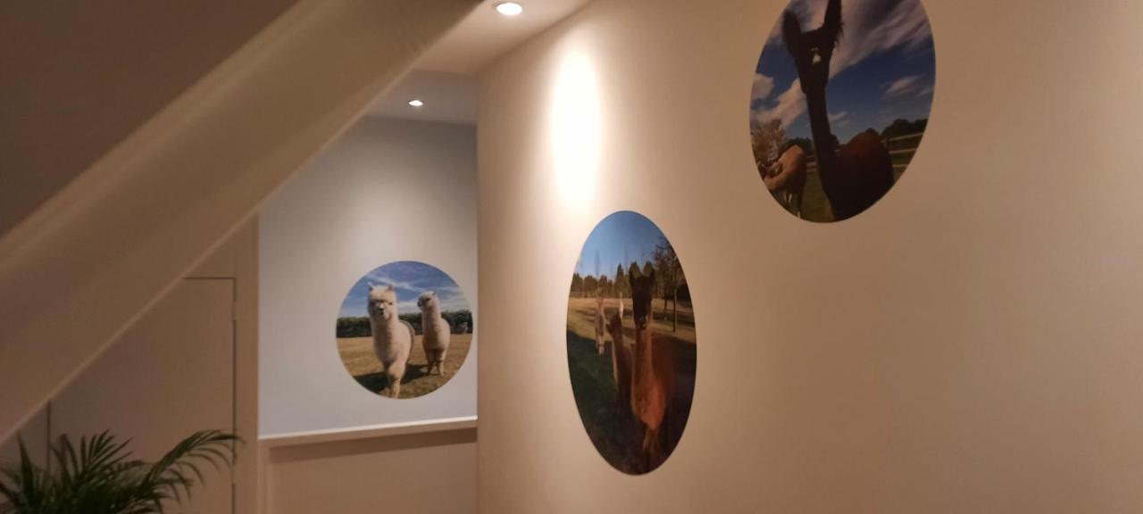 B&B De Raamberg Zundert Esterno foto