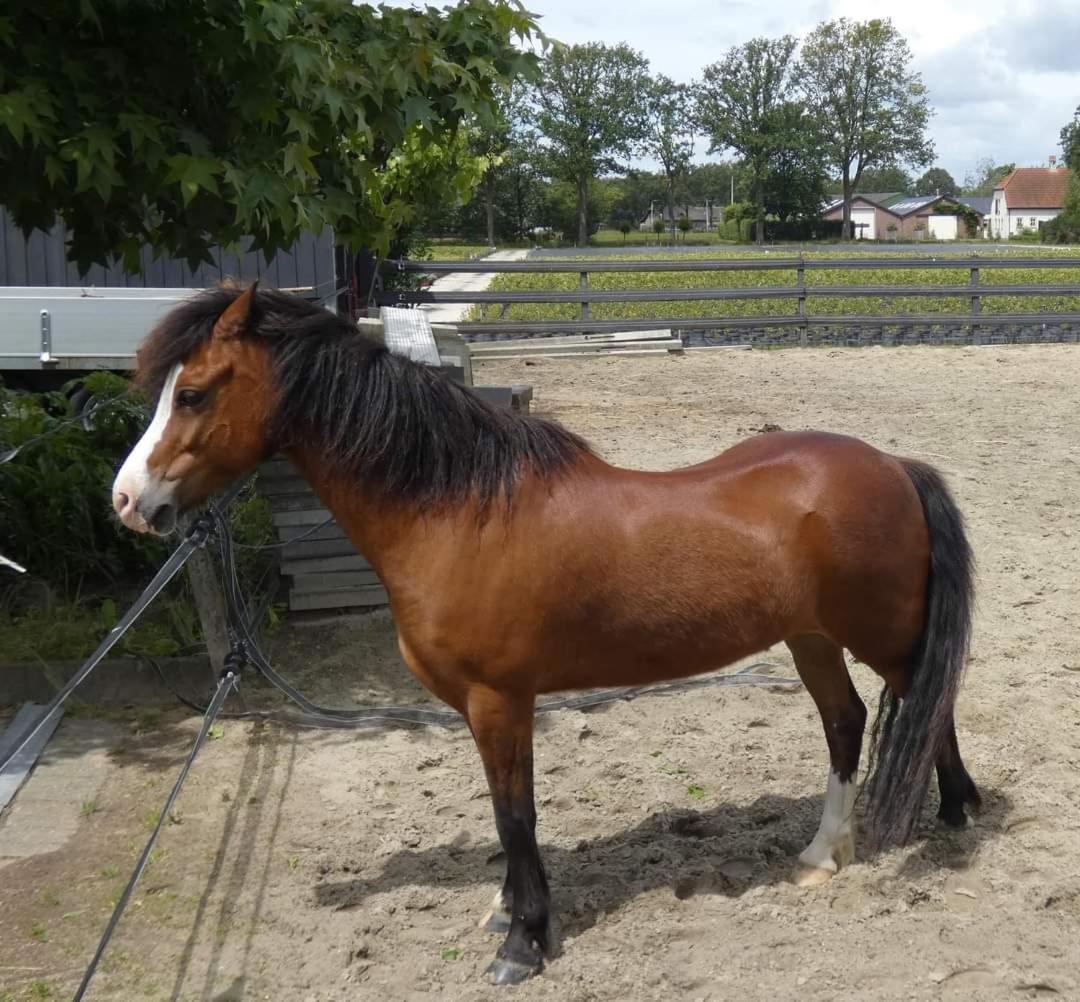B&B De Raamberg Zundert Esterno foto