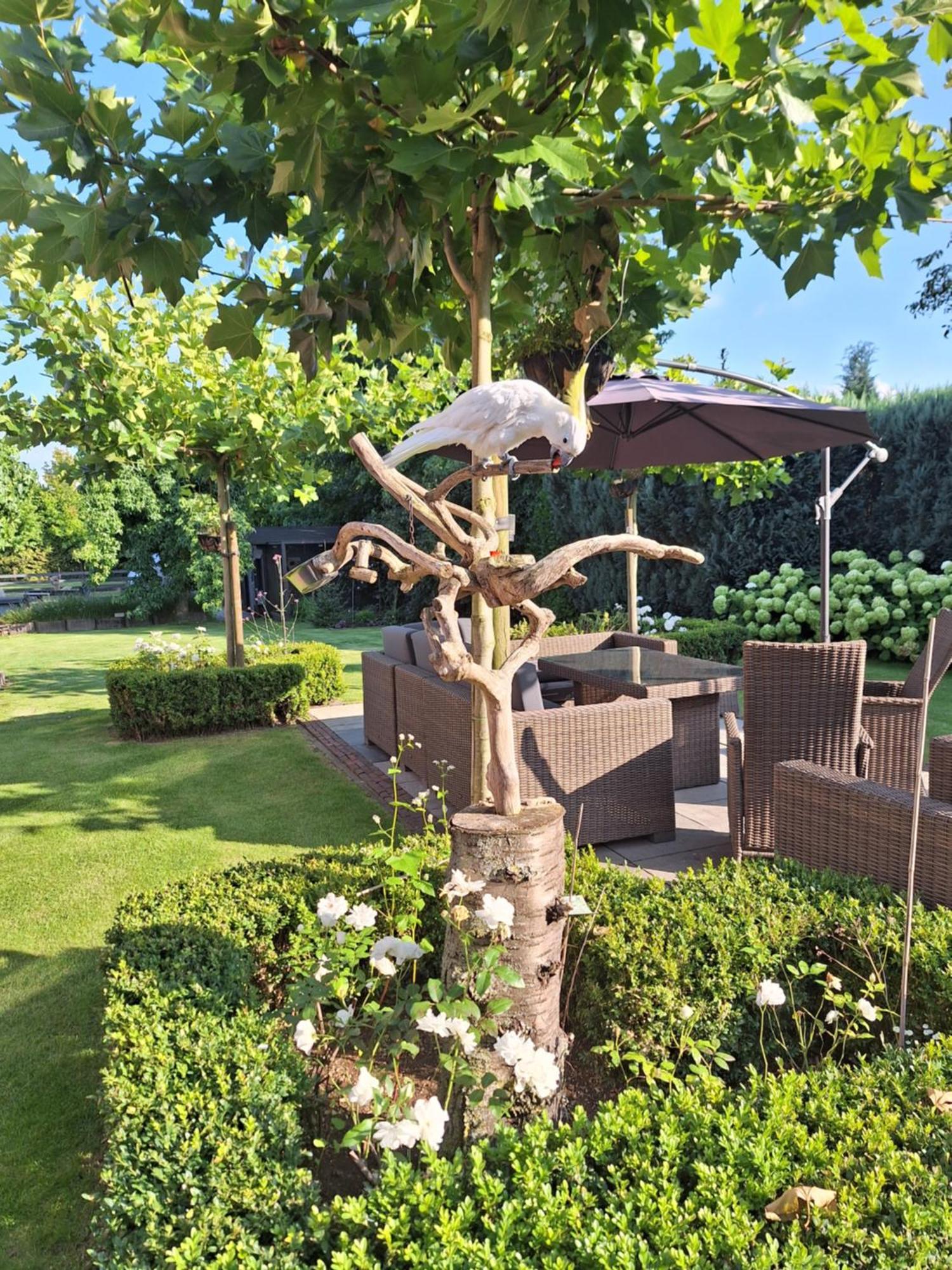 B&B De Raamberg Zundert Esterno foto