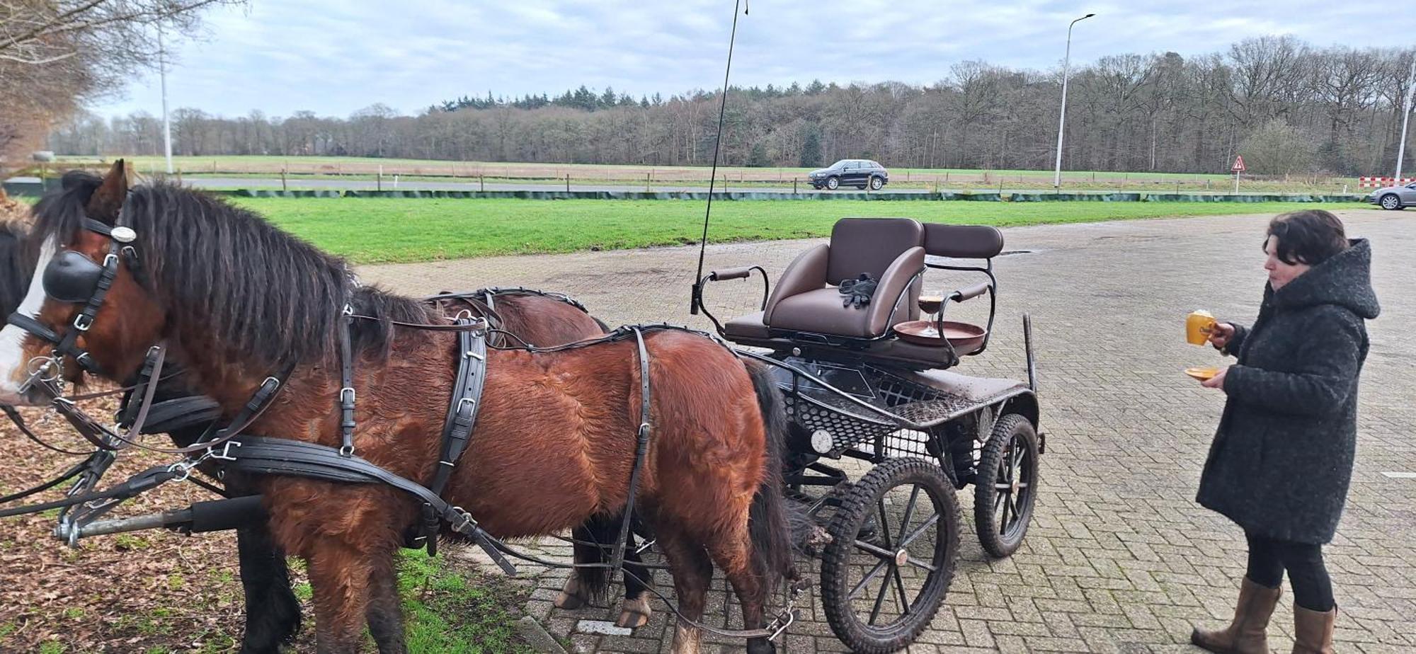 B&B De Raamberg Zundert Esterno foto